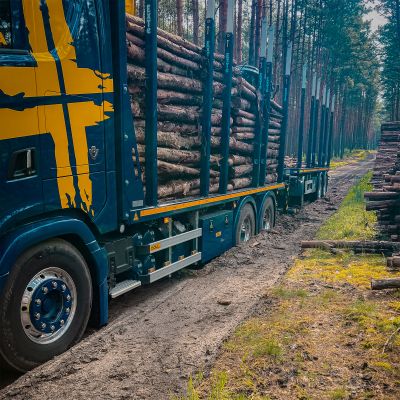 Blue truck with DOLL platform trailer carrying large tree trunks on a forest road, demonstrating its loading capacity and efficiency.