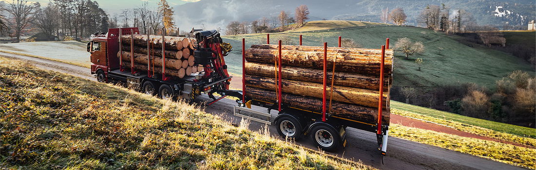 Truck with DOLL central axle trailer drives along a narrow country road between meadows and fields at dawn