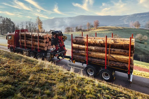 LKW mit Zentralachsanhänger von DOLL fährt im Morgengrauen über eine schmale Landstraße zwischen Wiesen und Feldern