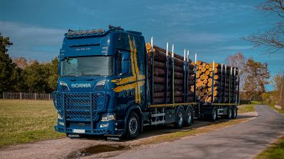 Blue truck with DOLL platform trailer with large tree trunks on a sunny country road, proving its loading capacity and efficiency.