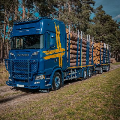 Blue truck with DOLL platform trailer with large tree trunks on a sunny country road, proving its loading capacity and efficiency.