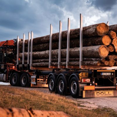 A LOGO semi-trailer loaded with large tree trunks on a dirt road in front of a dramatically cloudy sky.