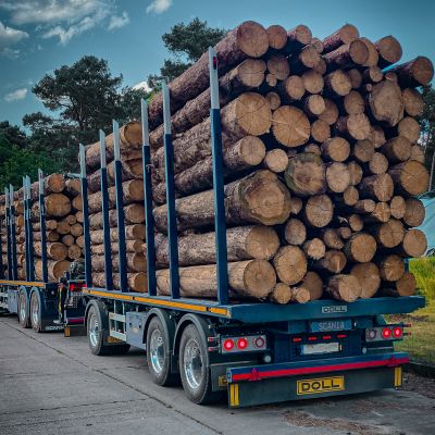 Blue truck with DOLL platform trailer with large tree trunks on a sunny country road, proving its loading capacity and efficiency.